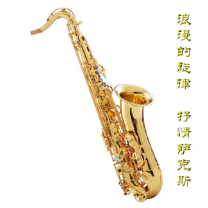 大鸿米店完120分版本下载官网
